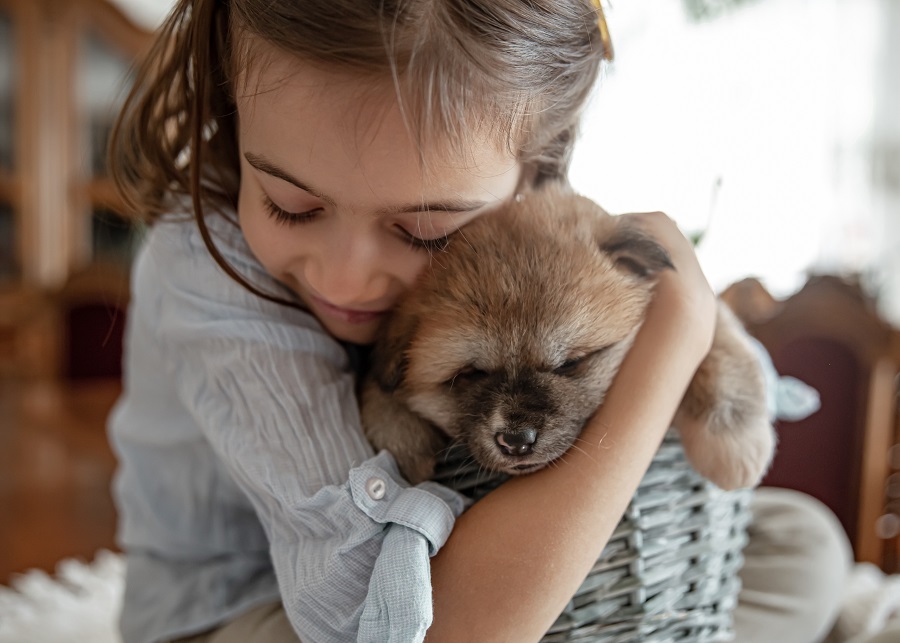 Little girl hugs a fluffy puppy in a basket.
