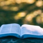 I 10 libri più belli sui viaggi nel Salento