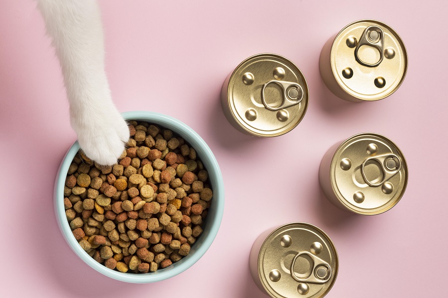 zampa gatto che afferra croccantini con accanto scatoletta per gatti contenente cibo umido