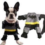 Costume Carnevale per Cani
