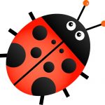 Costumi Coccinella