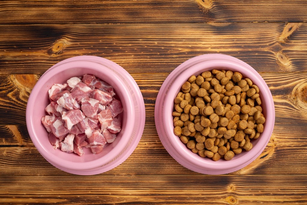 ingredienti-alimentari-freschi-sani-per-animali-domestici-sulla-superficie-scura