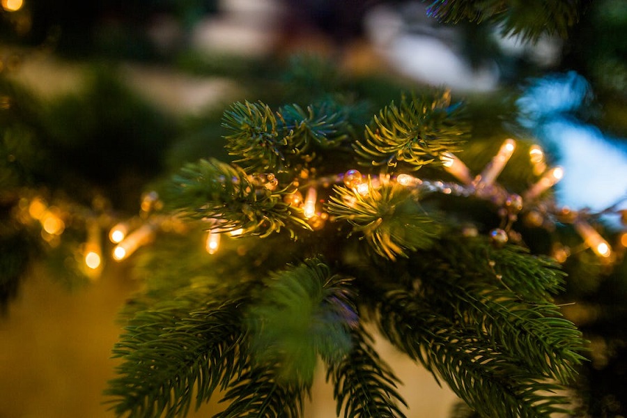 luci albero di natale