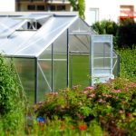 migliori serre da giardino
